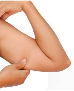 Diasculpt Bras